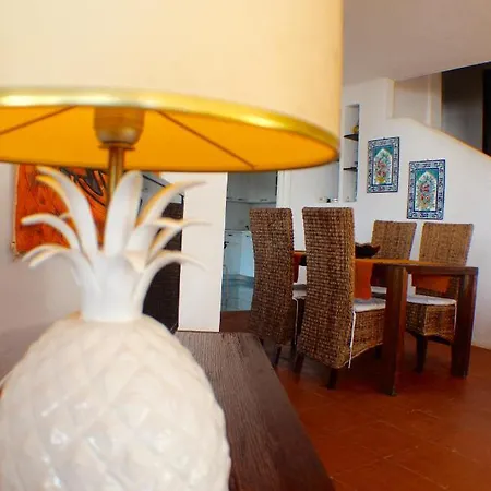 Orchidea Casa de Férias *