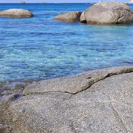 Orchidea * Villasimius