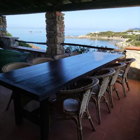 Orchidea * ヴィッラシミーウス