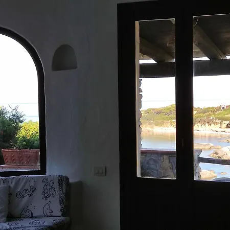 Orchidea ヴィッラシミーウス