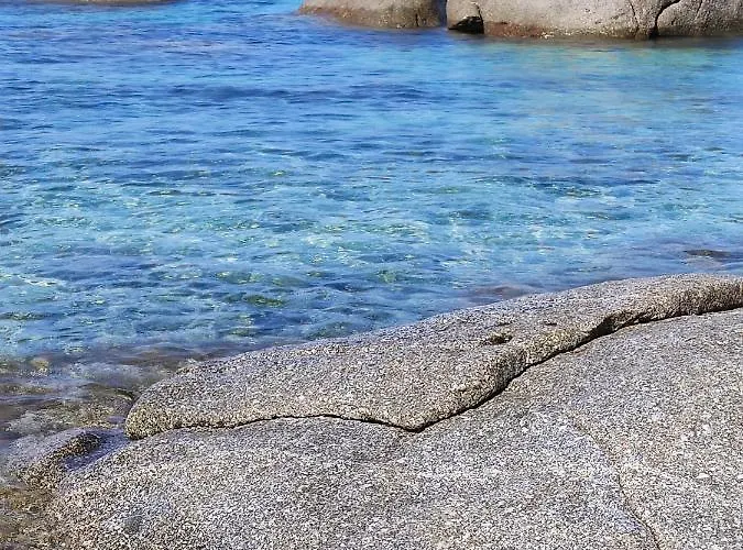 Orchidea * Віллазімьюс