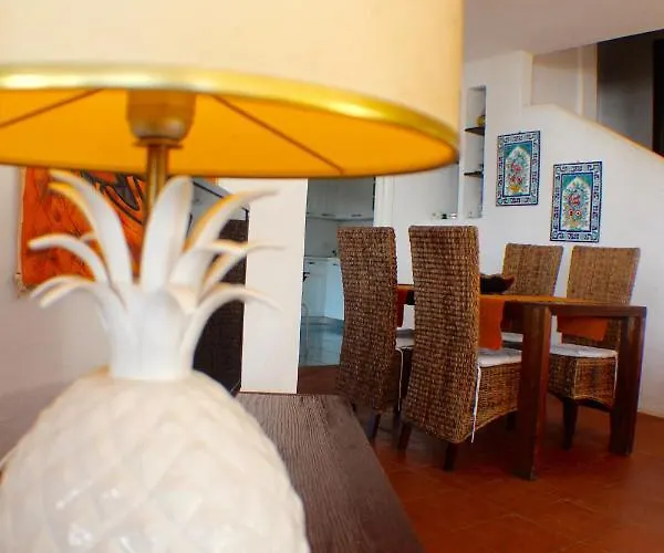 Orchidea Tatil Evi *