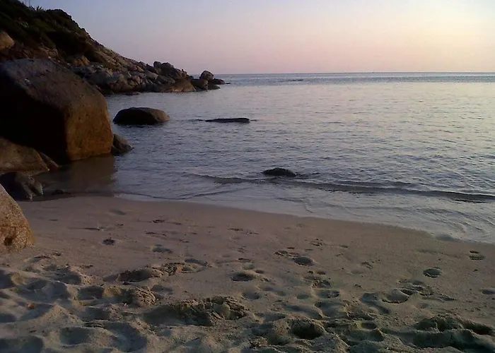 Orchidea Tatil Evi *