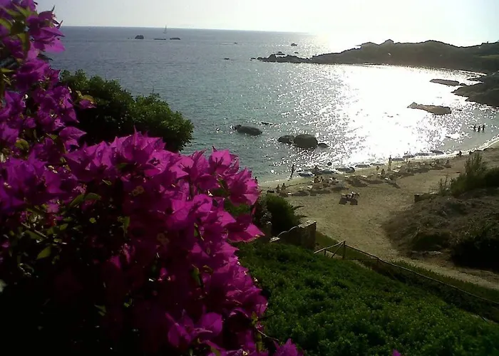 Tatil Evi Orchidea *