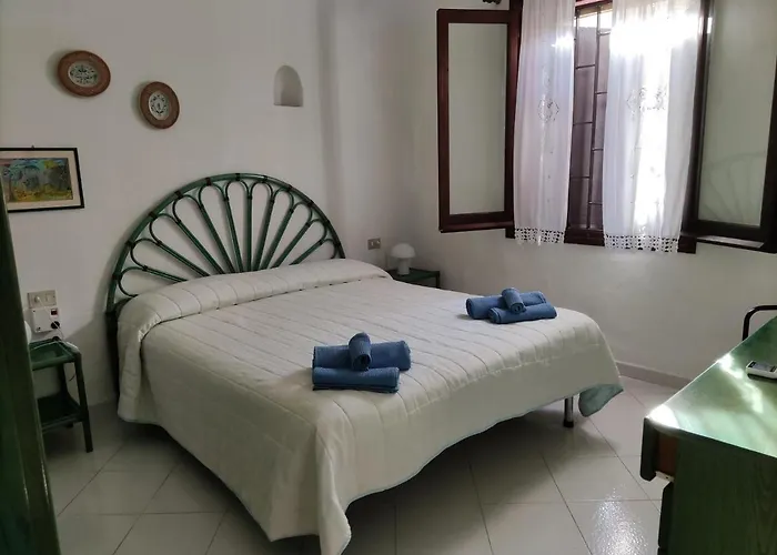 Orchidea * וילסימיוס