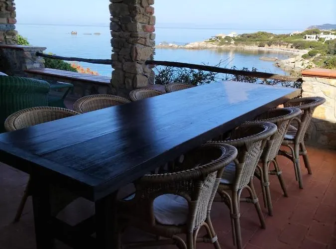 Orchidea * Віллазімьюс