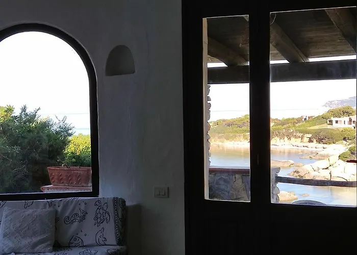 Orchidea וילסימיוס